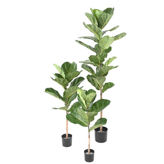 Ficus Lyrata Artificiel - Lyrata Artificiel