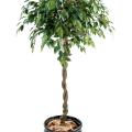 Ficus Artificiel Boule Natasja