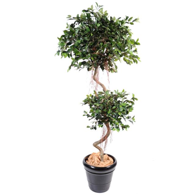 Ficus Artificiel Tronc Spirale 2 Boules - Ficus Artificiel Spirale 2 Boules
