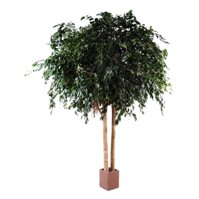 Ficus Artificiel Exotica Geant - Ficus Artificiel Exotica Geant