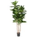 Lyrata Artificiel Multi GF