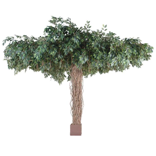 Ficus Artificiel Lianes Umbrella