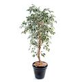 Ficus Artificiel Tronc Simple GF