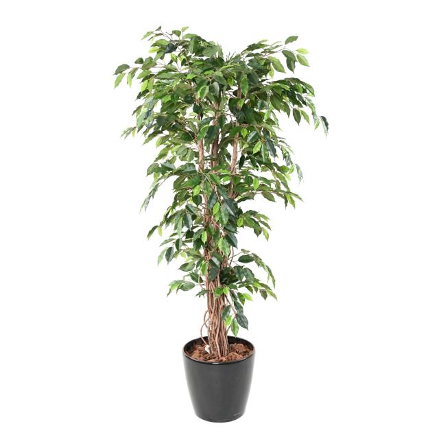 Ficus Artificiel Lianes GF