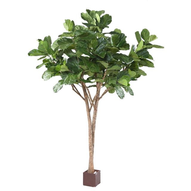 Lyrata Artificiel Double Troncs 3,4 Mètres - Lyrata Artificiel Multi TREE