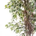 Ficus Artificiel Lianes PF