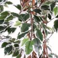 Ficus Artificiel Lianes GF
