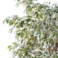 Ficus Artificiel Lianes PF