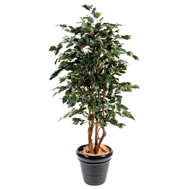 Ficus Artificiel Exotica - Ficus Artificiel Exotica
