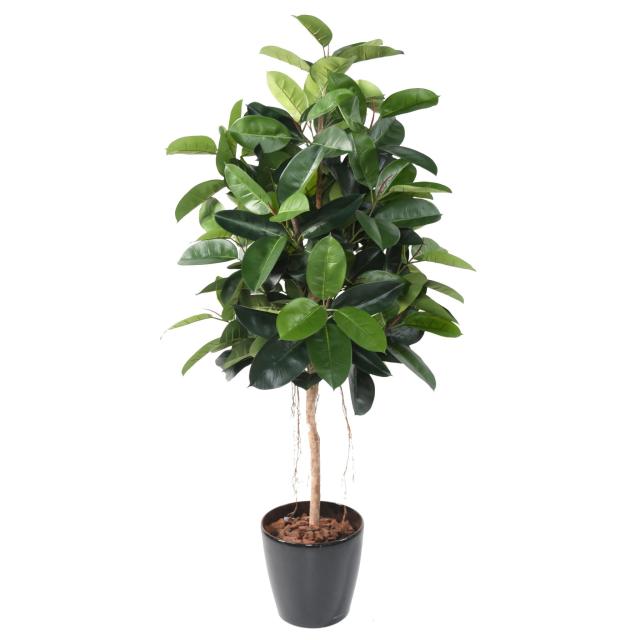 Ficus Artificiel Elastica (rubber Plant Tree) - Ficus Artificiel Elastica (rubber Plant Tree)