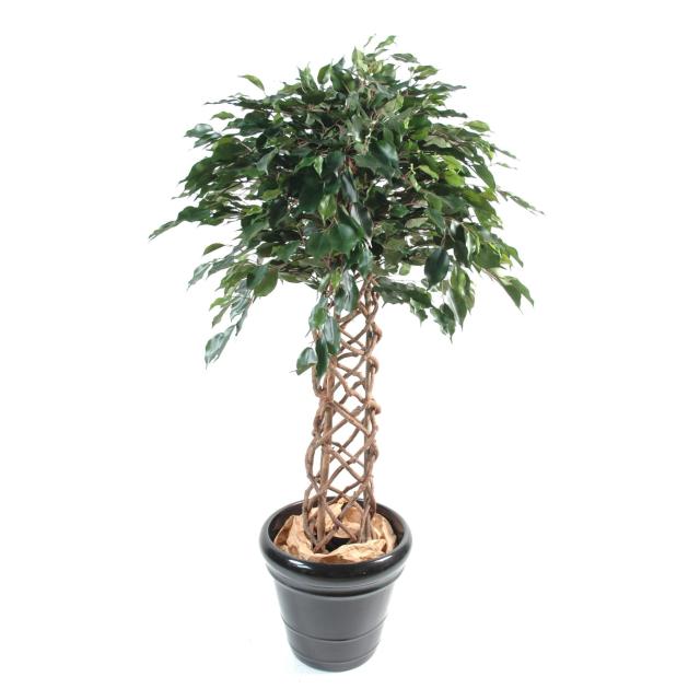 Ficus Artificiel Tronc Cage - Ficus Artificiel Cage
