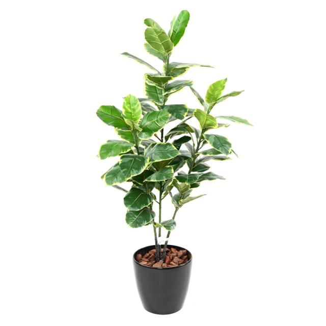 Rubber TREE Artificiel