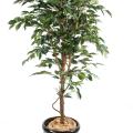 Ficus Artificiel Tronc Simple GF