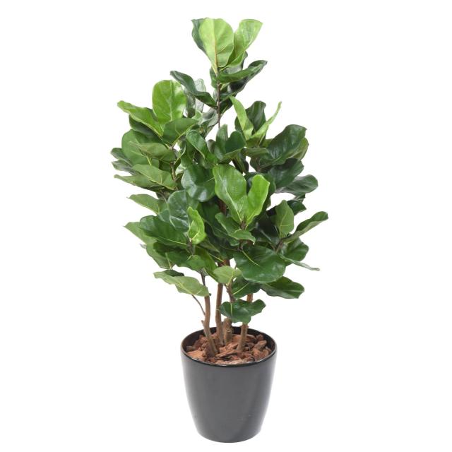 Lyrata Artificiel Royal Buisson - Lyrata Artificiel Royal Buisson