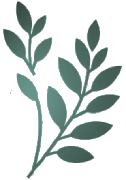 Logo Ficus Artificiel