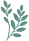 Logo Ficus Artificiel